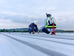 Roof Inspection