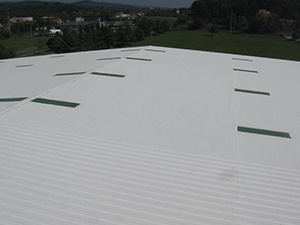 Metal Roofing