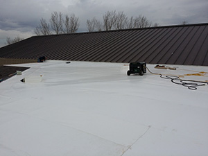 Roof Maintenance