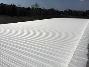 Metal Roofing1