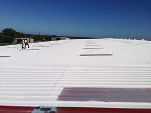 Roof Restoration Front Royal VA1