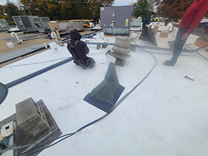 Roof Maintenance