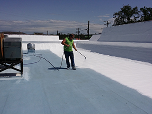 Roof Restoration Alexandria VA