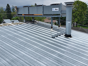 Metal Roofing