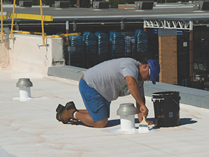 Expert Roof Maintenance